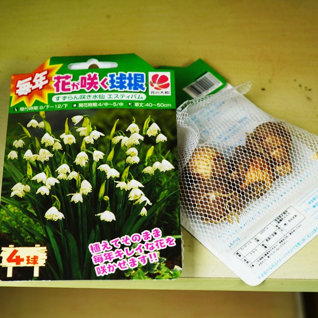 スノーフレーク スズランスイセン （鈴蘭水仙） 球根 販売 苗木部 By