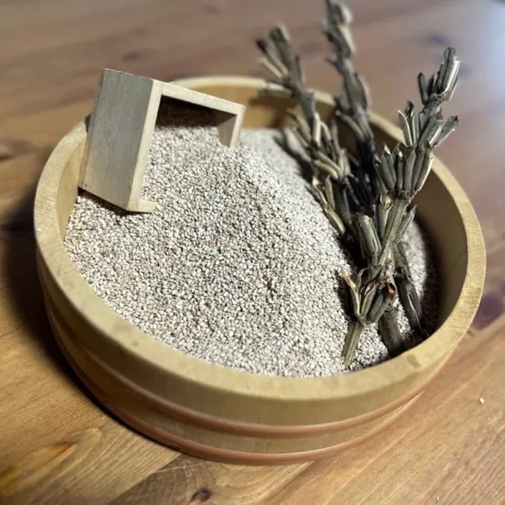 ゴマ 白ごま 苗 販売 苗木部 By 花ひろばオンライン