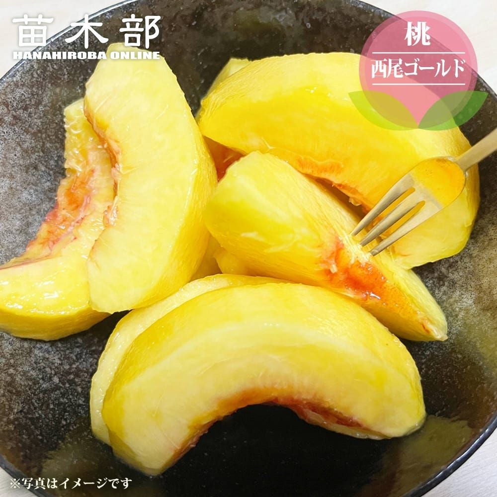 果樹全種一覧 | 苗木部 本店 By 花ひろばオンライン