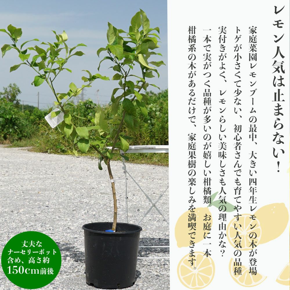 000000024718-03.jpg?size=l&w=