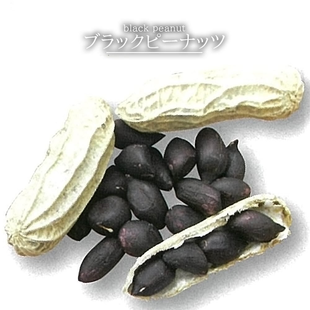 000000125522-01.jpg?size=m&w=