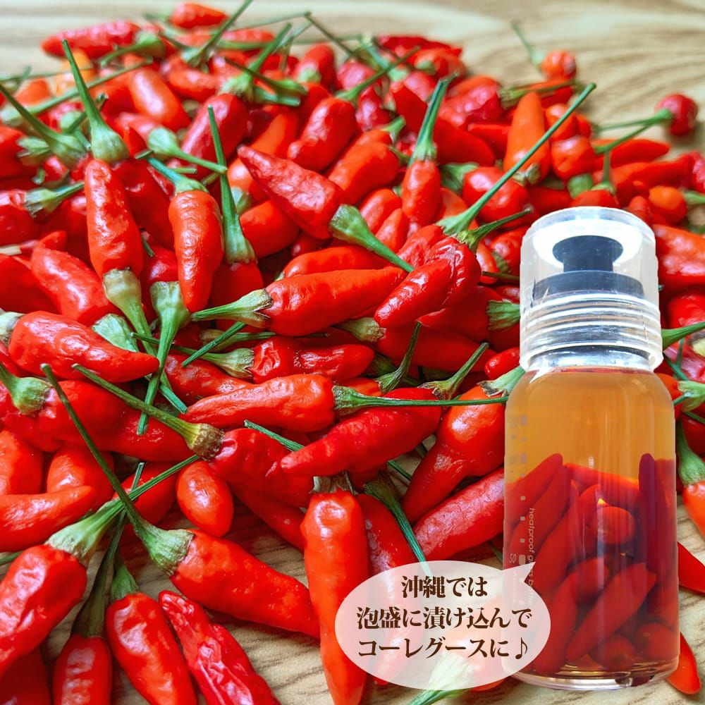 とうがらし 唐辛子 苗 販売 苗木部 By 花ひろばオンライン