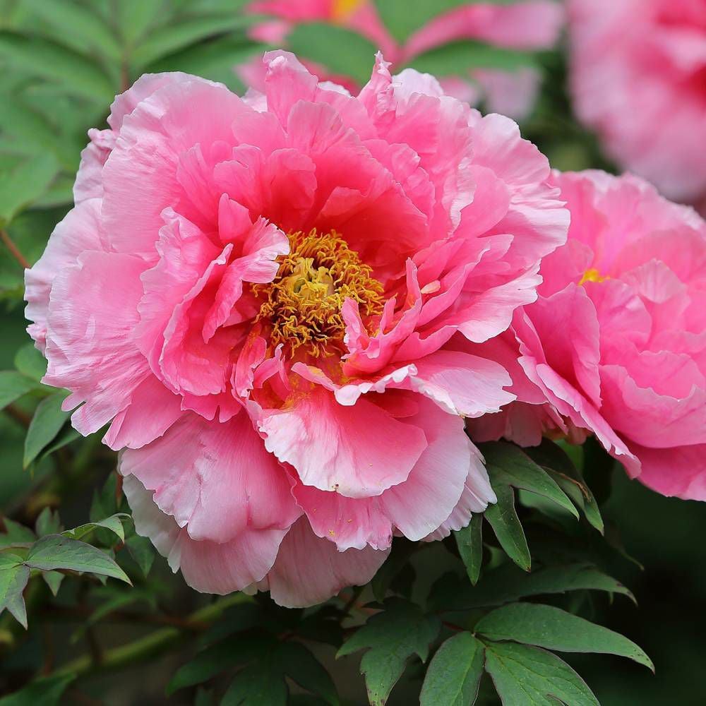 000000026152-07.jpg?size=l&w=