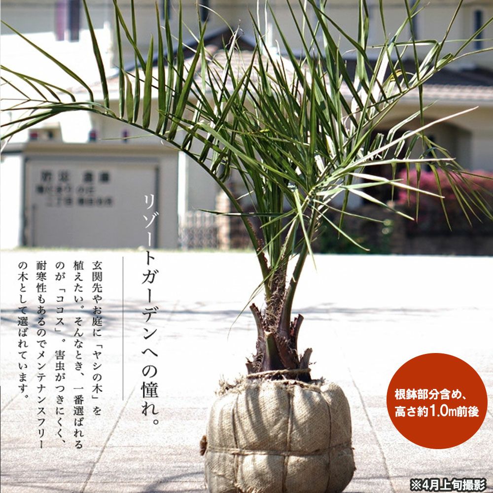 000000026435-03.jpg?size=l&w=