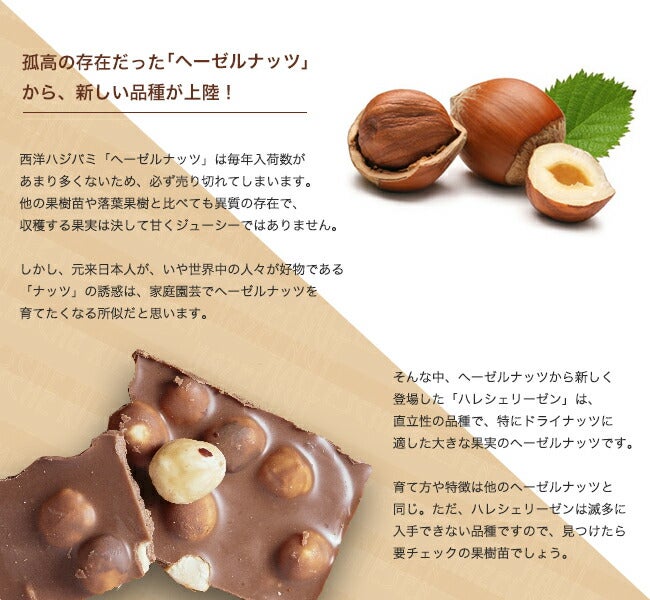 000000026968-02.jpg?size=l&w=