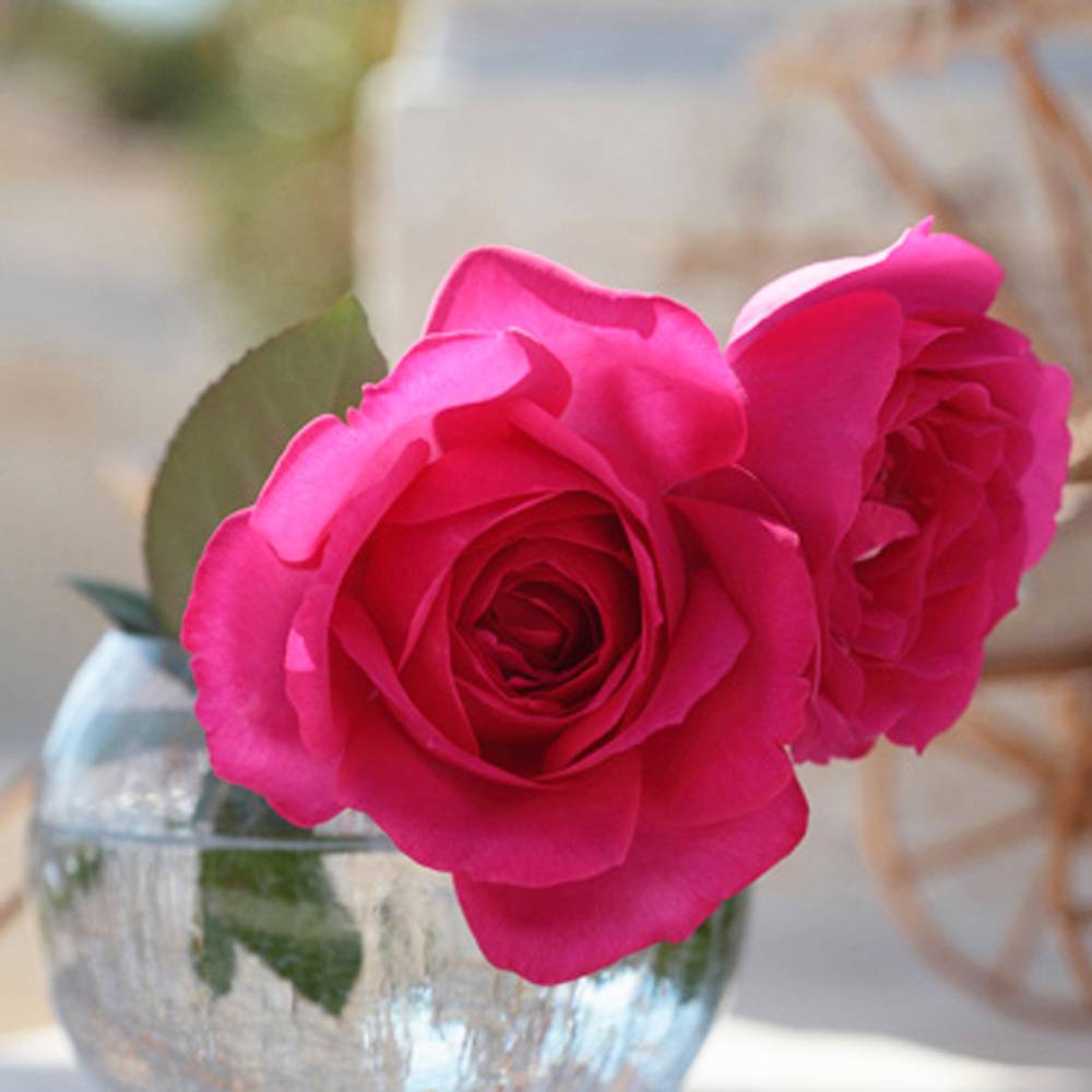 000000027287-07.jpg?size=l&w=