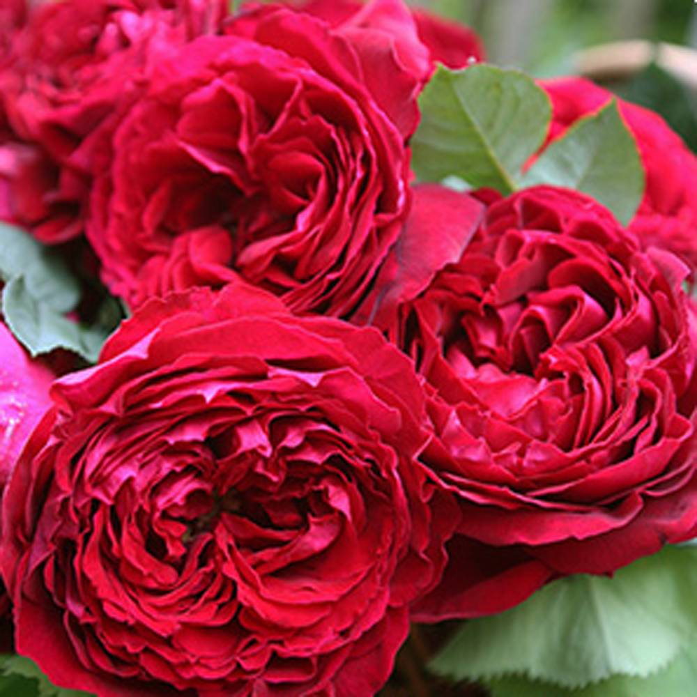 000000027344-06.jpg?size=l&w=