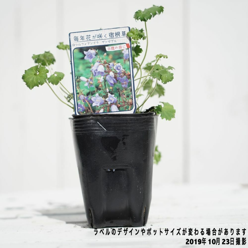 000000027361-03.jpg?size=l&w=