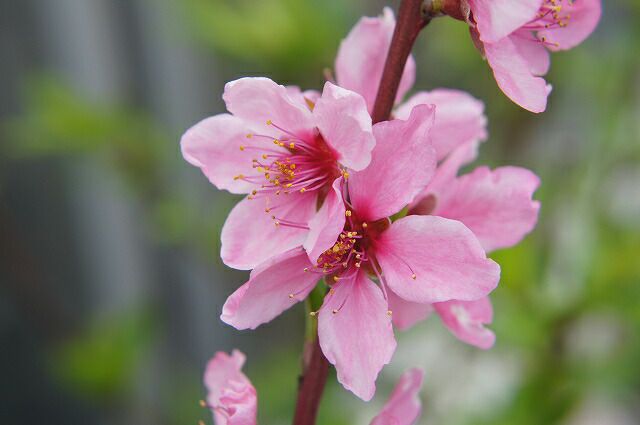 000000127470-02.jpg?size=l&w=