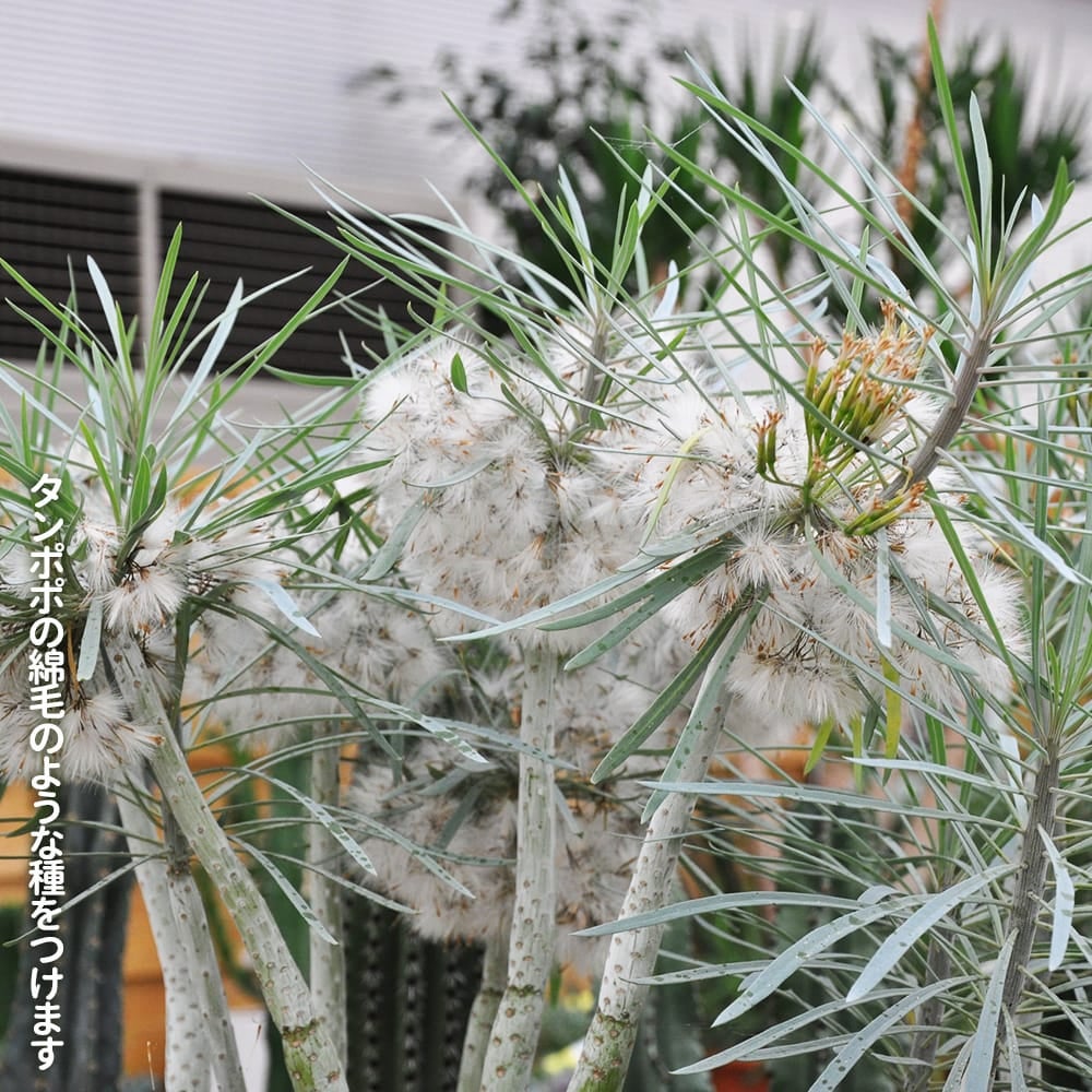 000000128443-07.jpg?size=l&w=