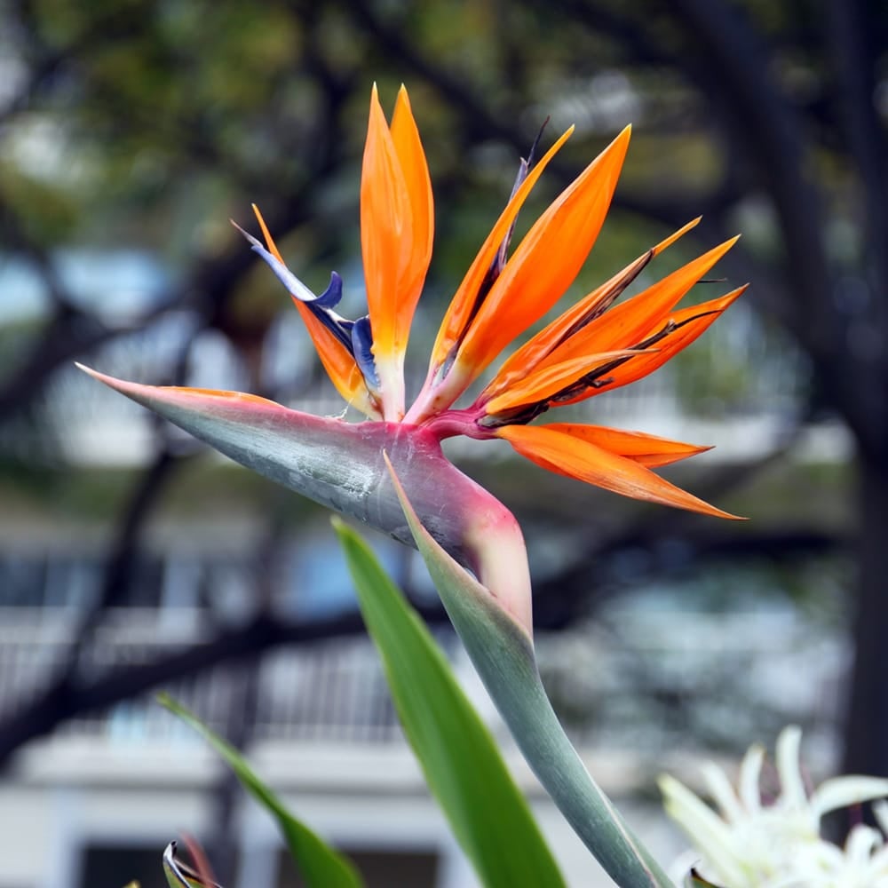 000000128521-02.jpg?size=l&w=