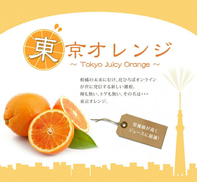 かんきつ中間母本農6号 オレンジ 苗 育て方 苗木部 By 花ひろばオンライン