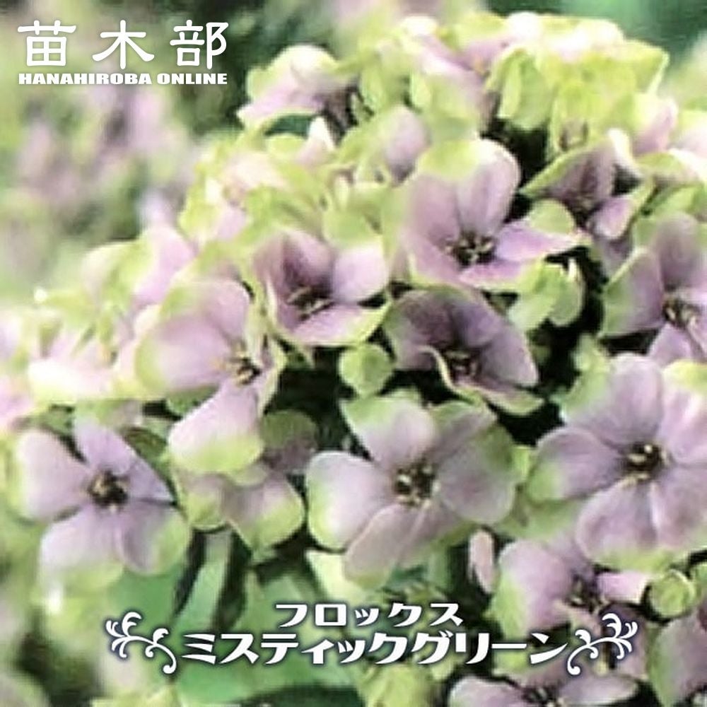 000000029361-01.jpg?size=l&w=