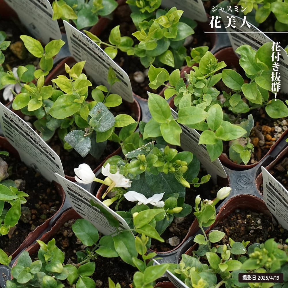 000000129352-01.jpg?size=l&w=