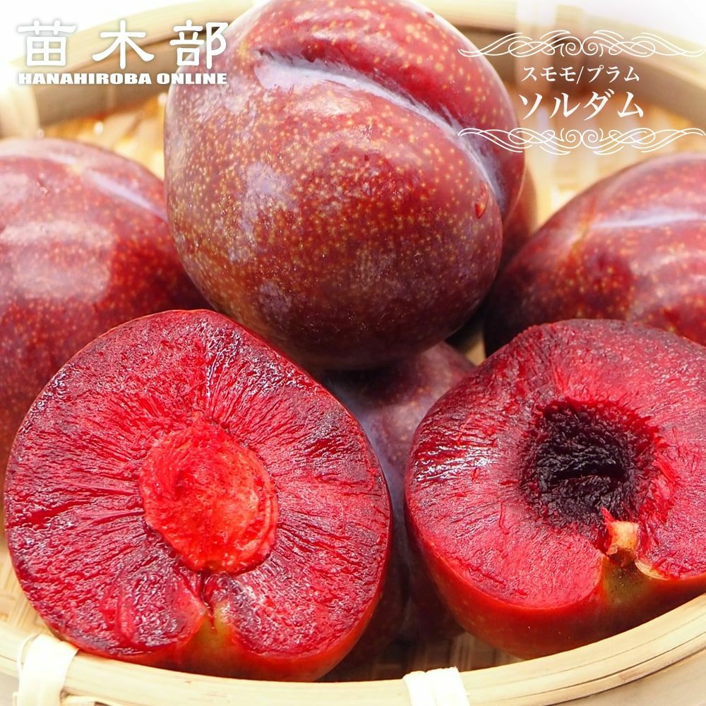 000000029843-01.jpg?size=l&w=