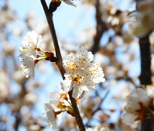 000000029868-02.jpg?size=l&w=