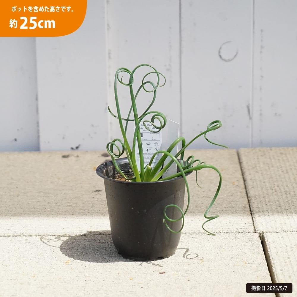 000000130414-01.jpg?size=l&w=