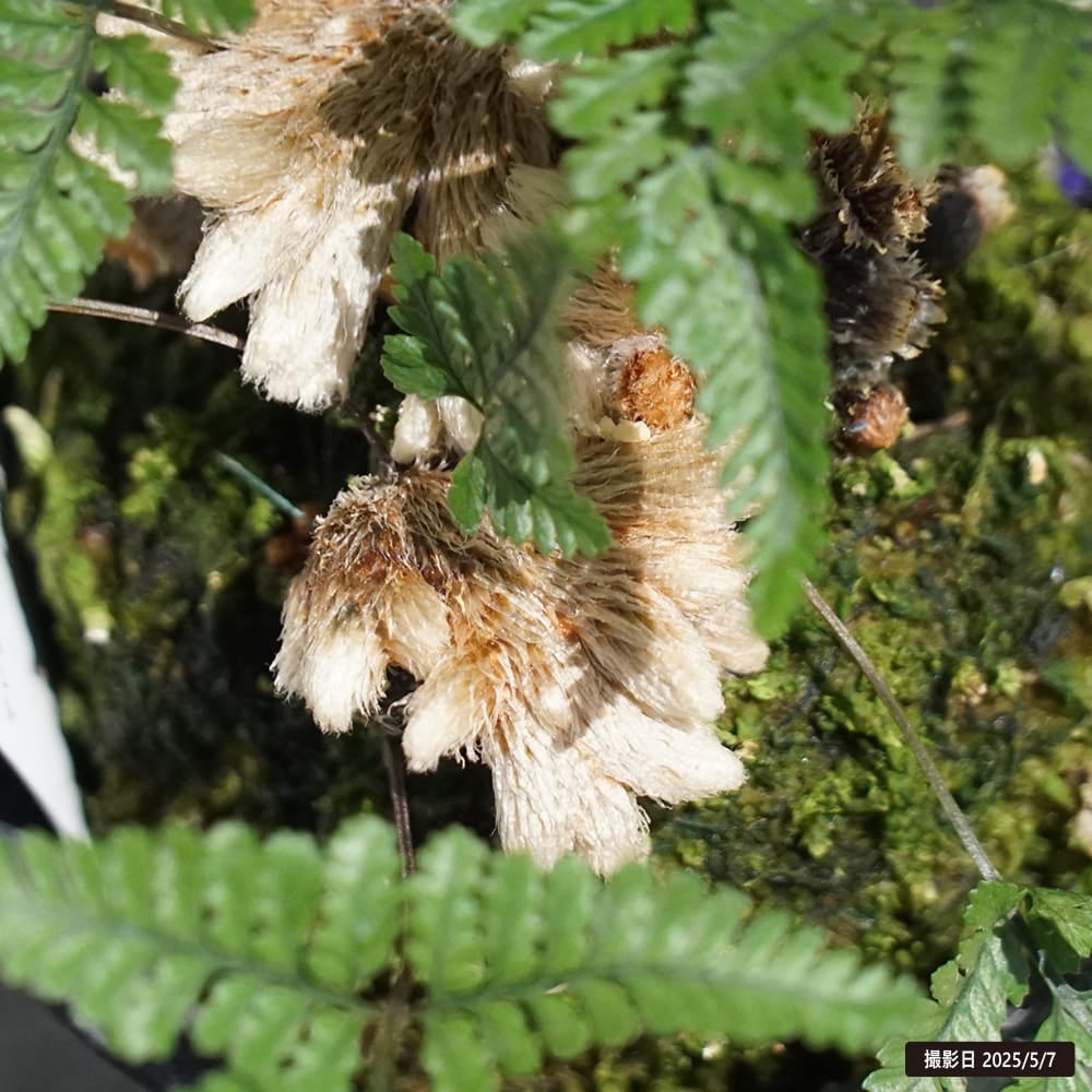 000000130574-02.jpg?size=l&w=