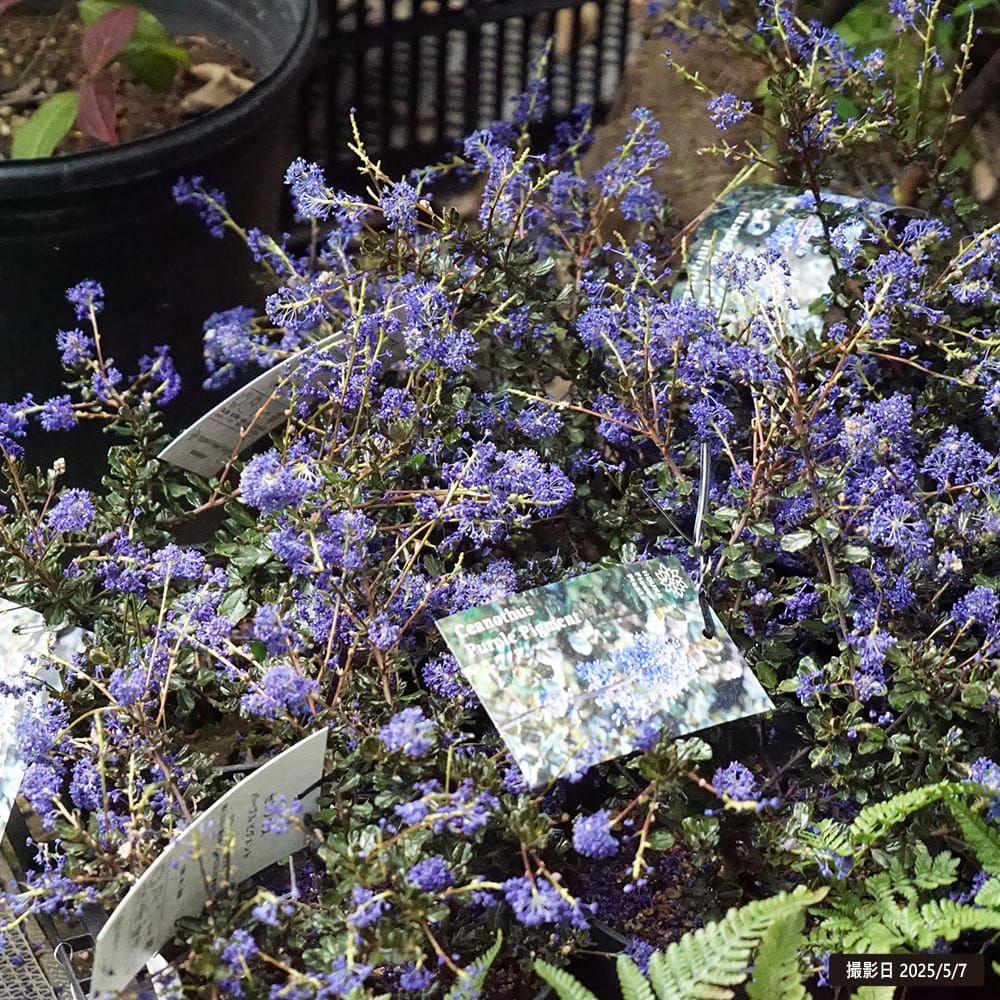 000000130580-03.jpg?size=l&w=