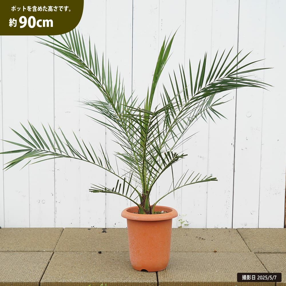 000000130789-01.jpg?size=m&w=