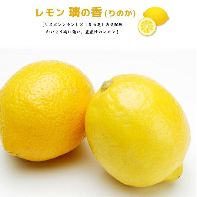 000000031938-05.jpg?size=l&w=