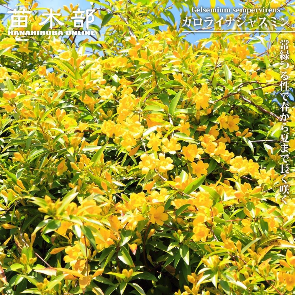 000000132102-01.jpg?size=l&w=