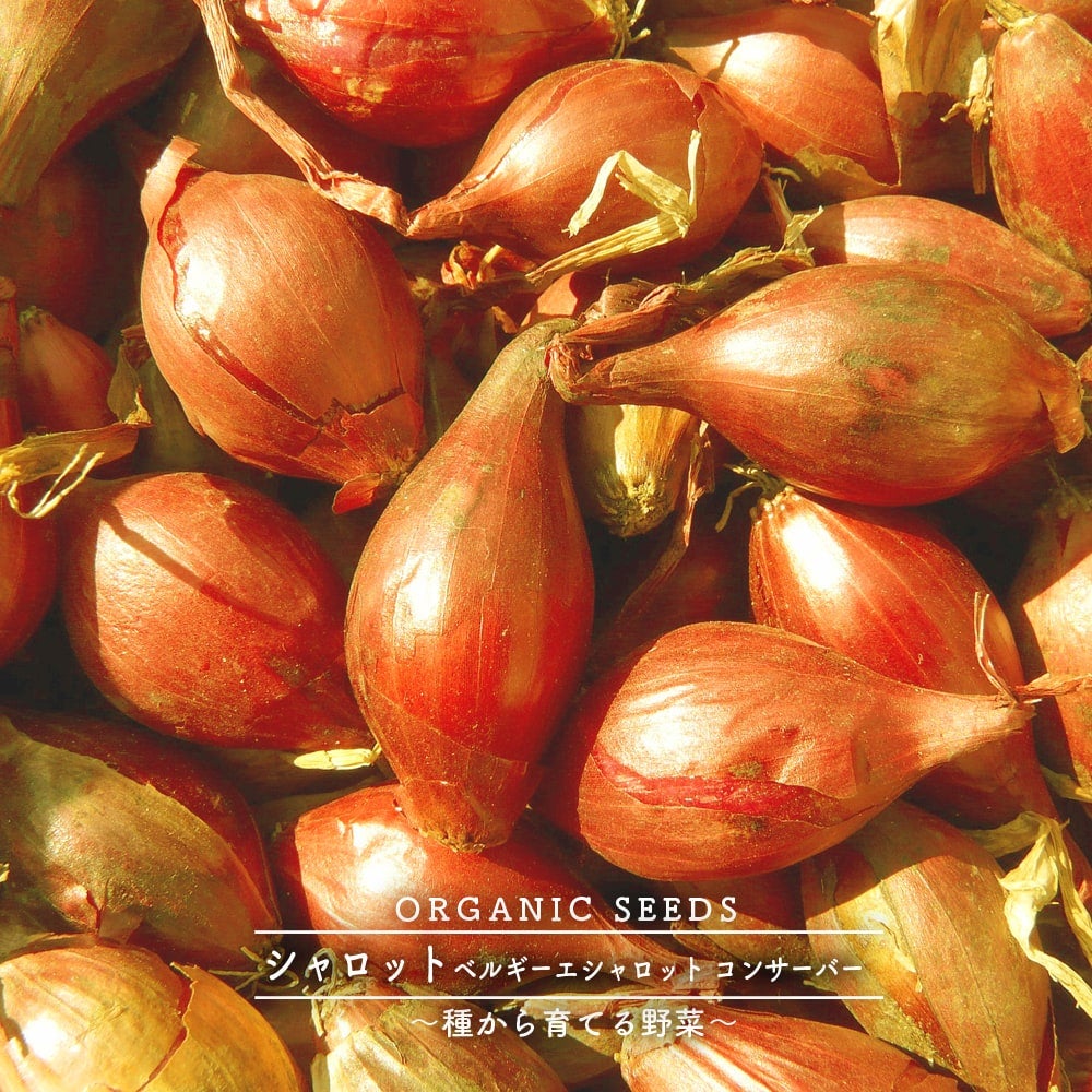 000000032609-02.jpg?size=l&w=