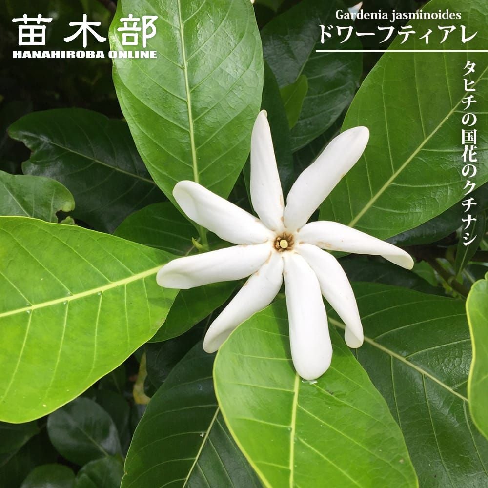 000000132614-01.jpg?size=l&w=