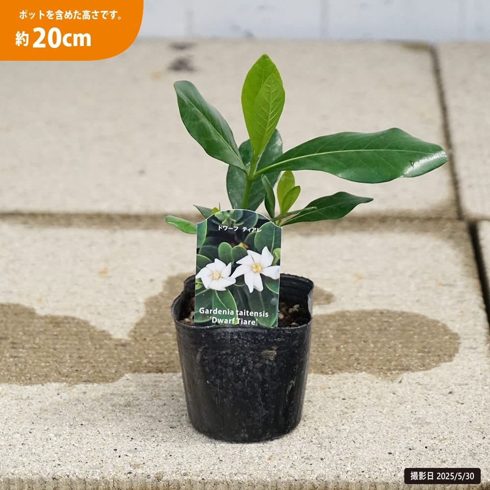 000000132614-03.jpg?size=l&w=