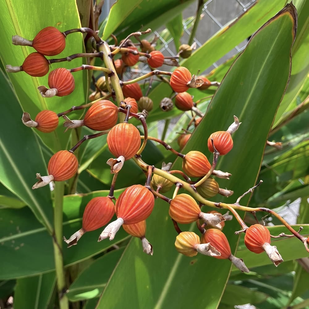 000000132644-02.jpg?size=l&w=