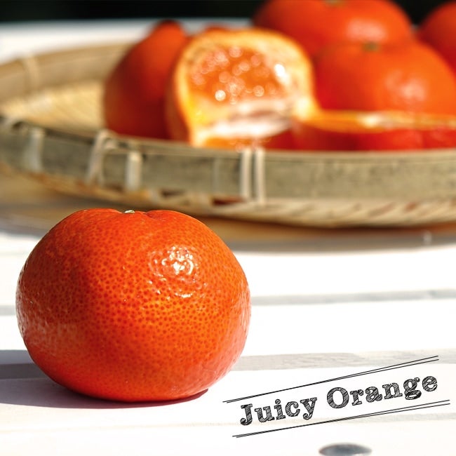 柑橘 温州みかん 小原紅早生 苗 販売 苗木部 By 花ひろばオンライン