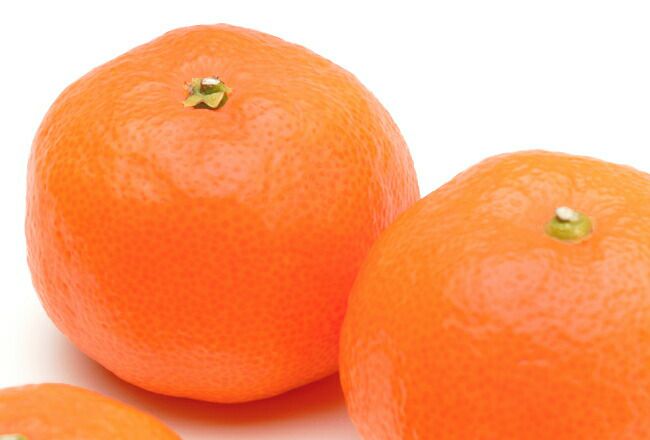 000000033040-07.jpg?size=l&w=