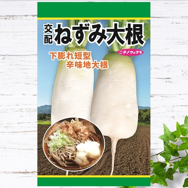 大根未完成さん専用 000000133406-01.jpg?size=m&w=
