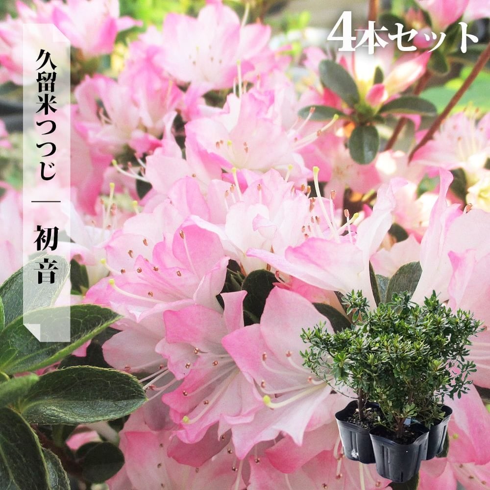 000000033771-08.jpg?size=l&w=