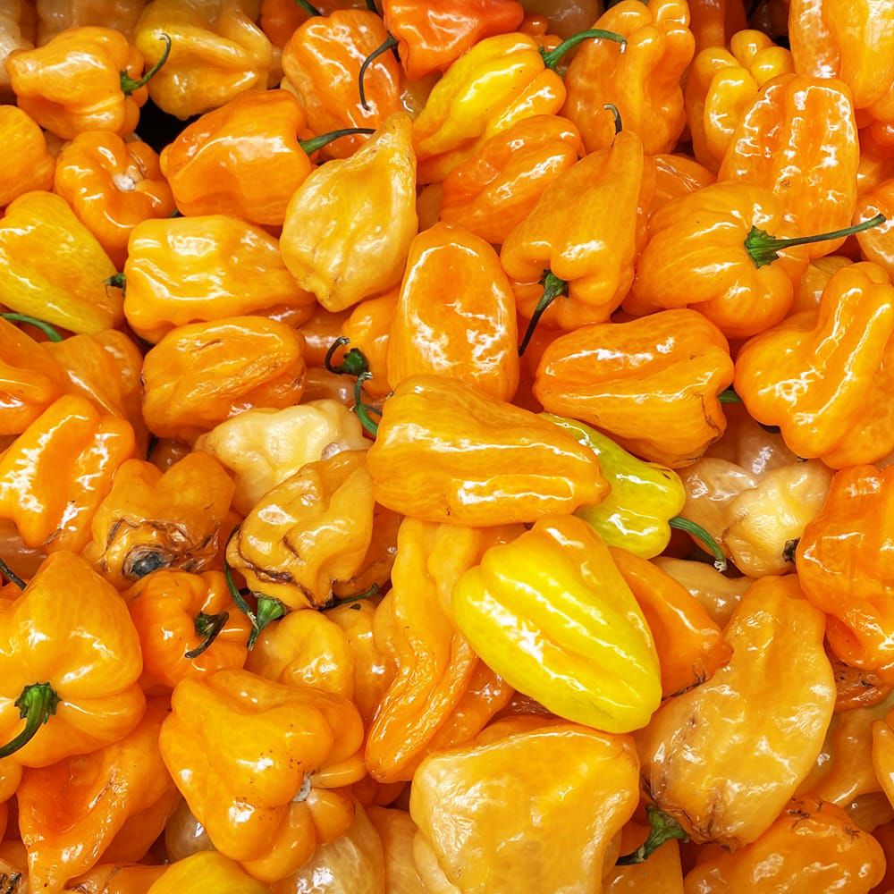 000000133737-02.jpg?size=l&w=