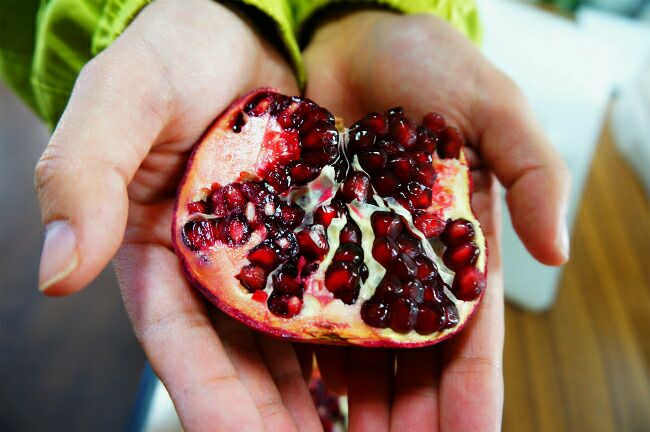 カルフォルニアザクロ 実ザクロ 苗 通販 苗木部 By 花ひろばオンライン