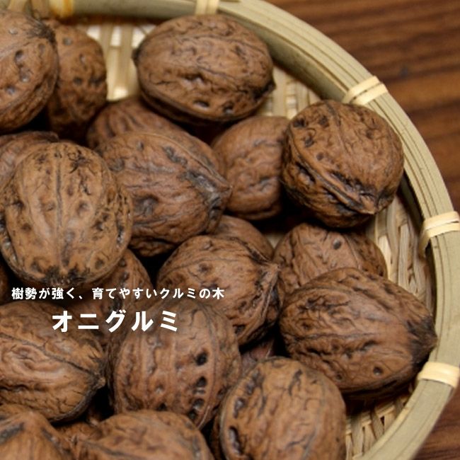 000000033950-01.jpg?size=l&w=