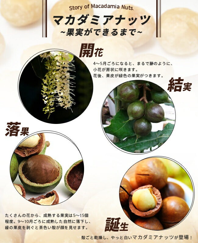 000000033977-03.jpg?size=l&w=