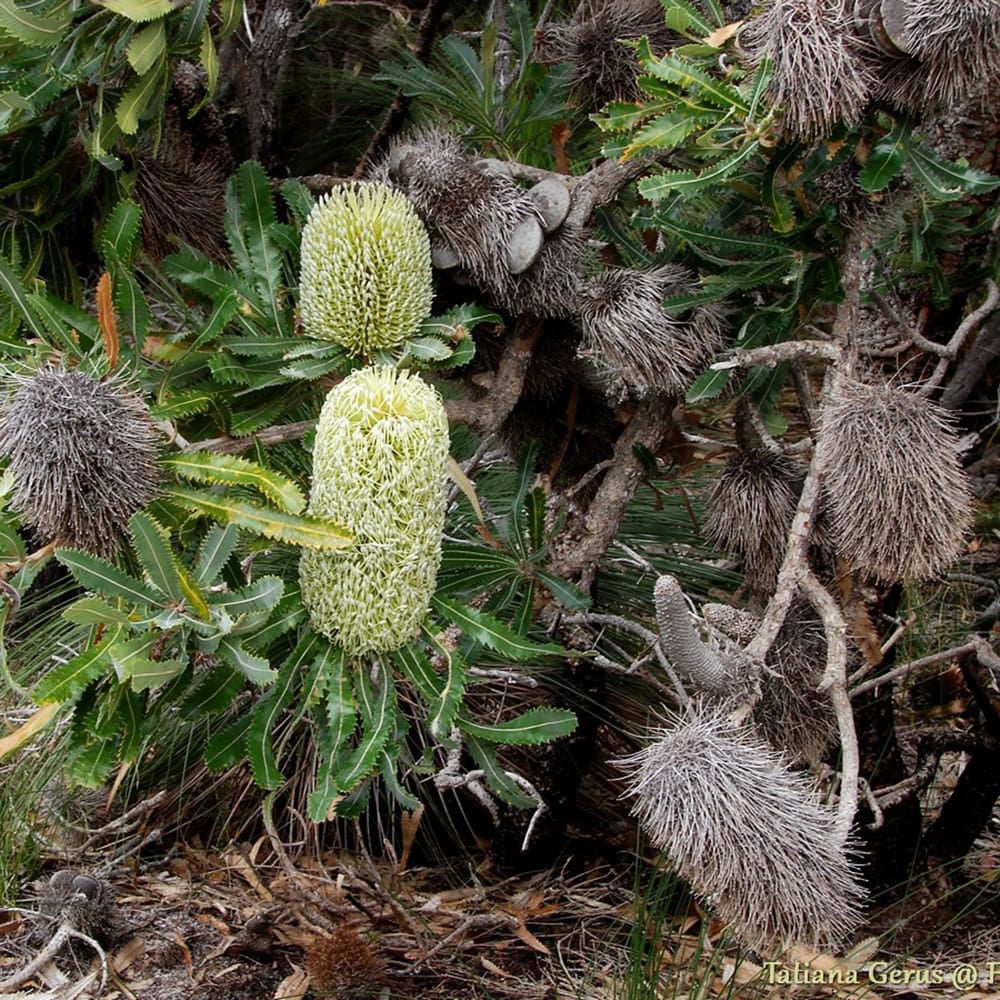 000000134141-03.jpg?size=l&w=