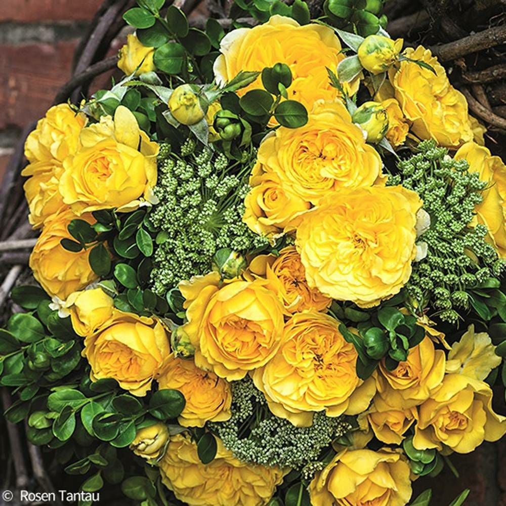 000000034348-06.jpg?size=l&w=