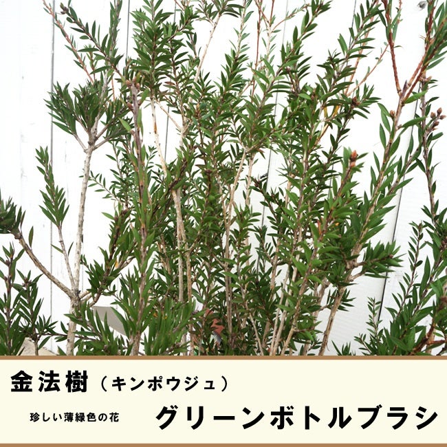 000000034416-02.jpg?size=l&w=