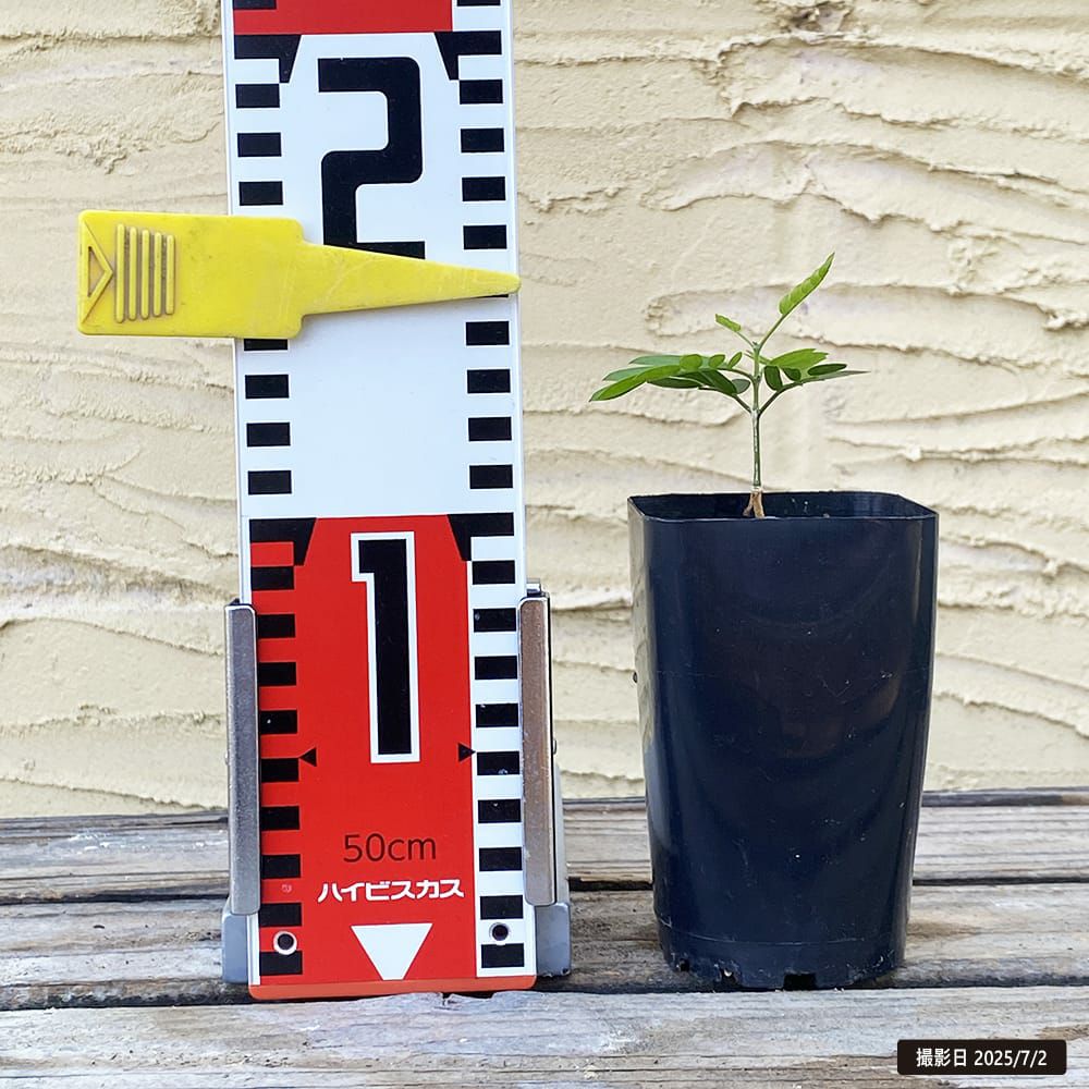 000000134496-02.jpg?size=l&w=