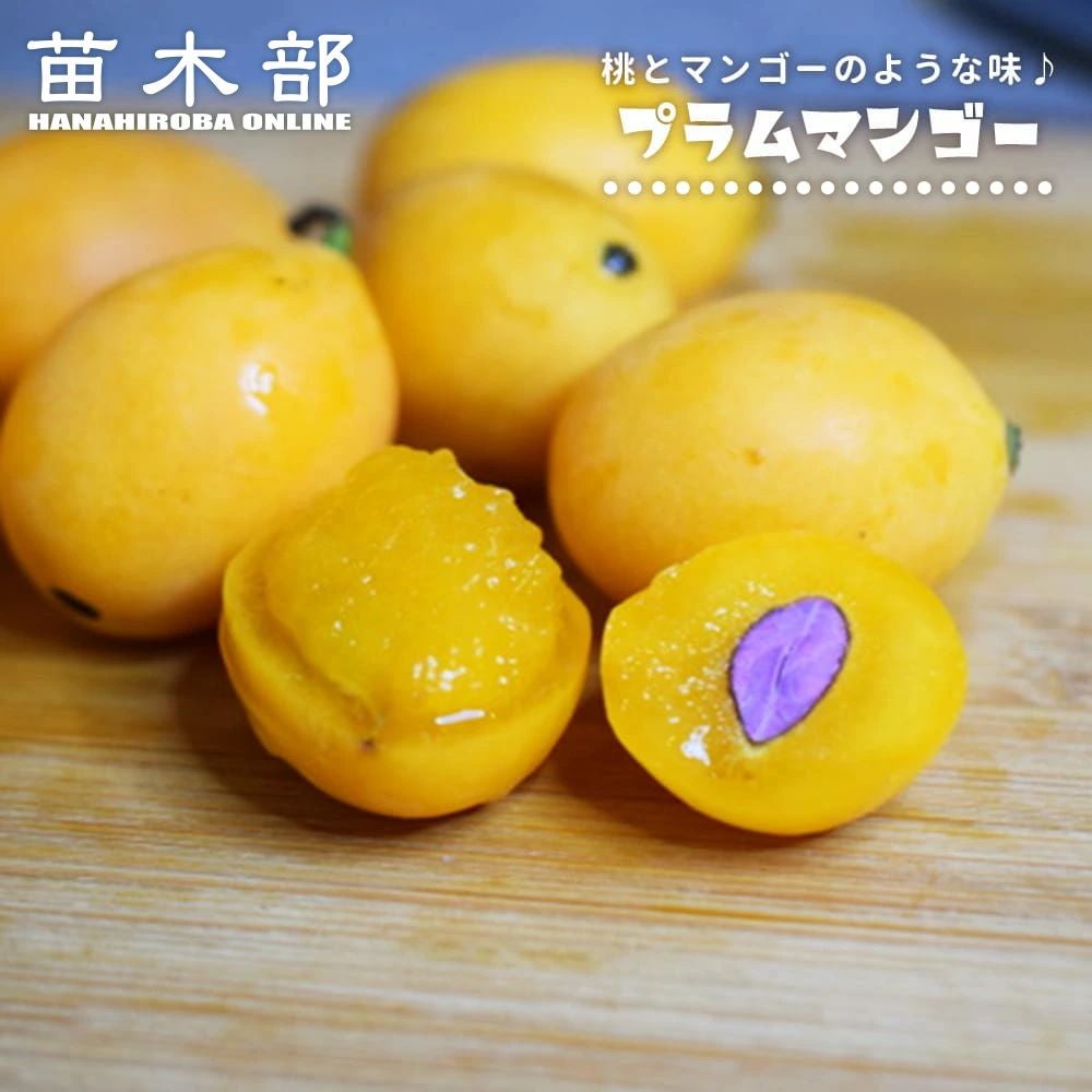 000000134507-01.jpg?size=m&w=