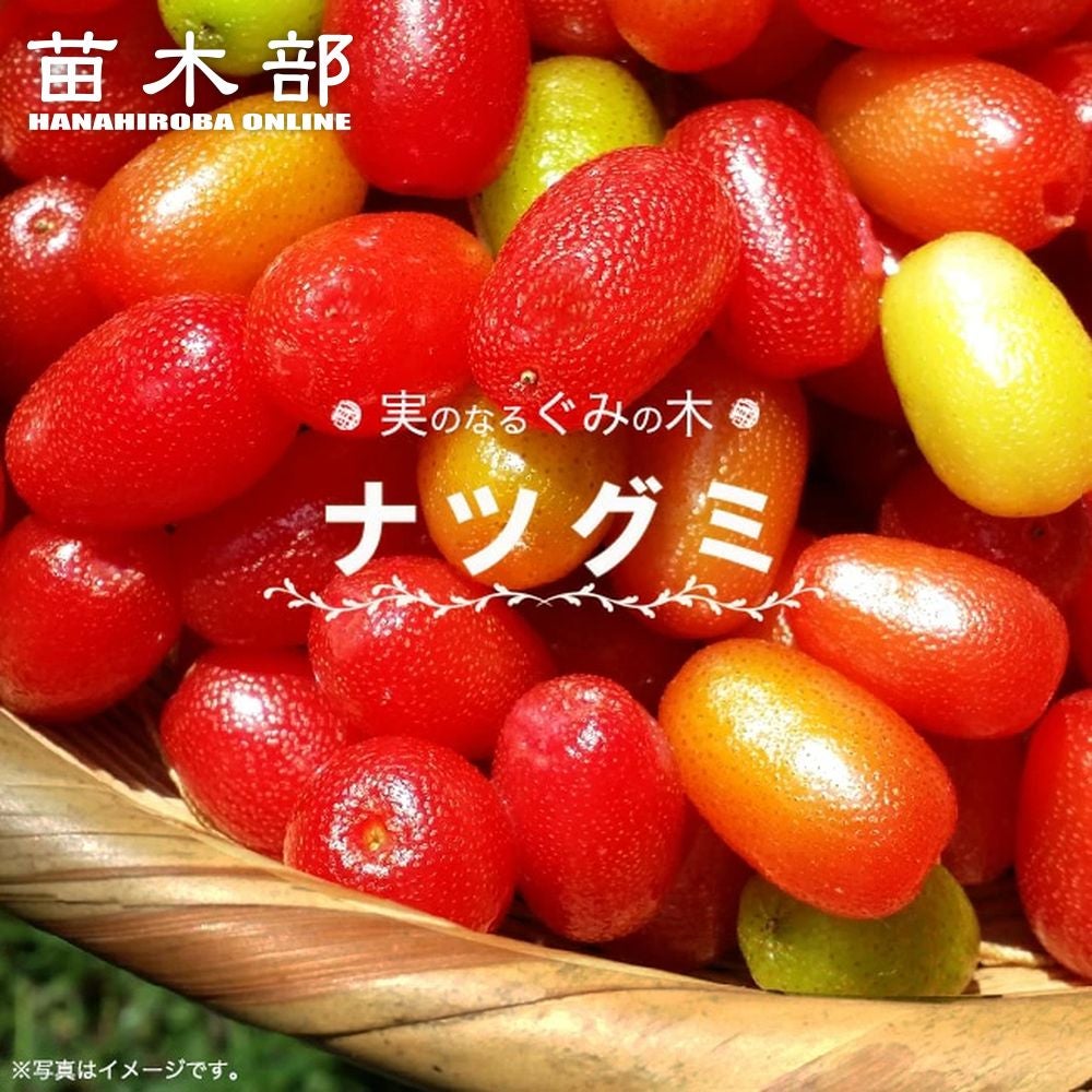 000000035478-01.jpg?size=l&w=