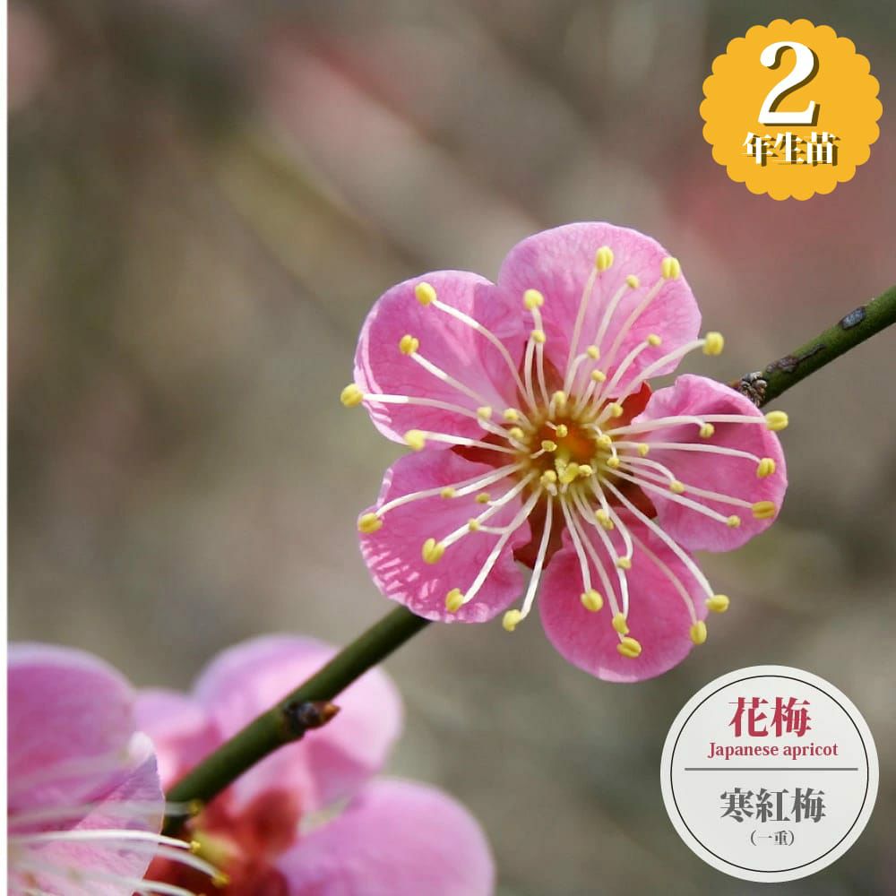 000000136171-01.jpg?size=l&w=