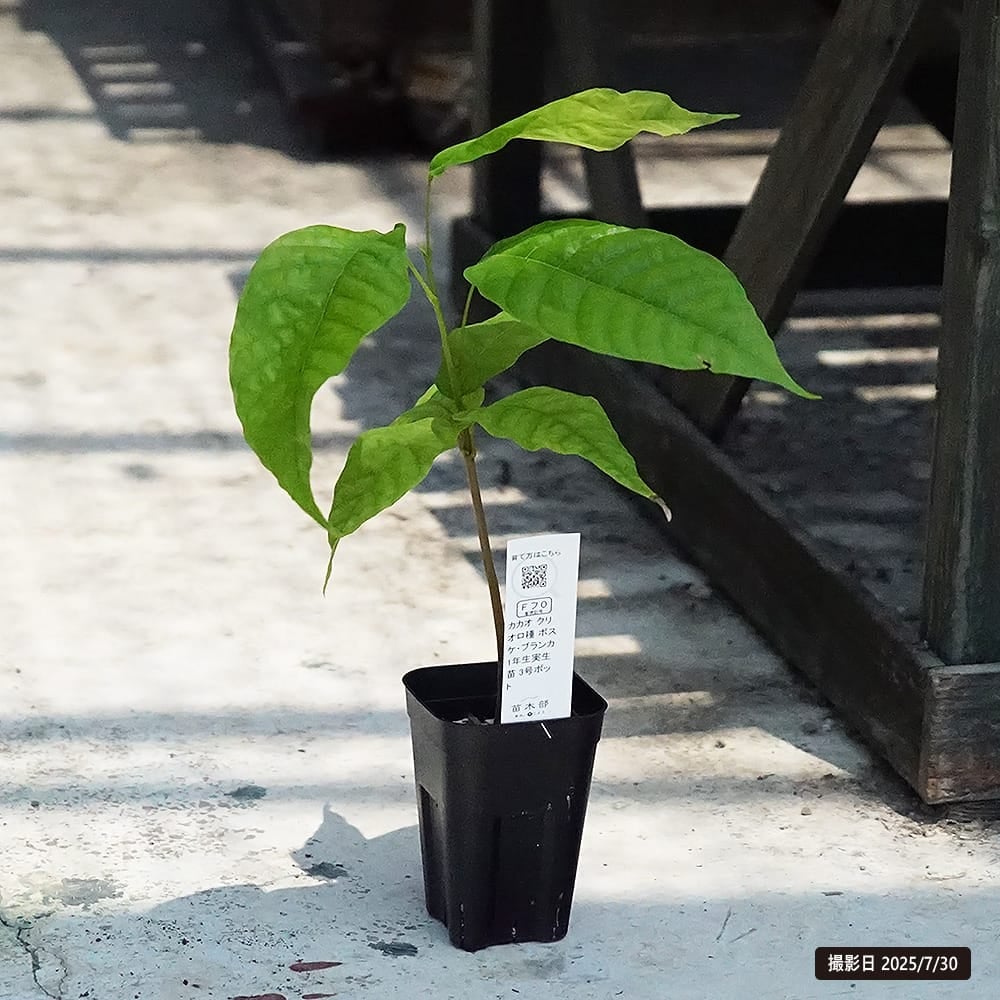 000000136641-03.jpg?size=l&w=