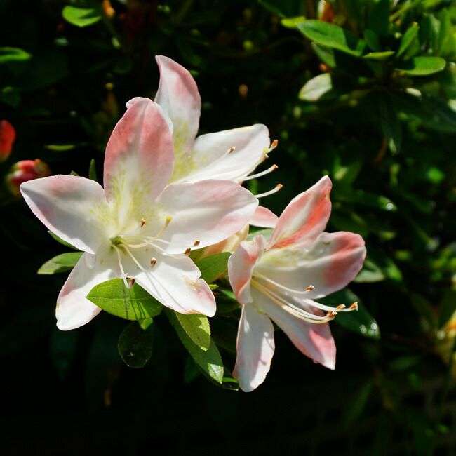 000000036927-06.jpg?size=l&w=