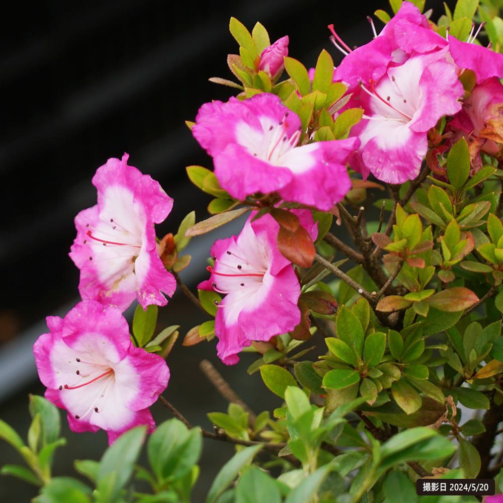 000000036962-07.jpg?size=l&w=