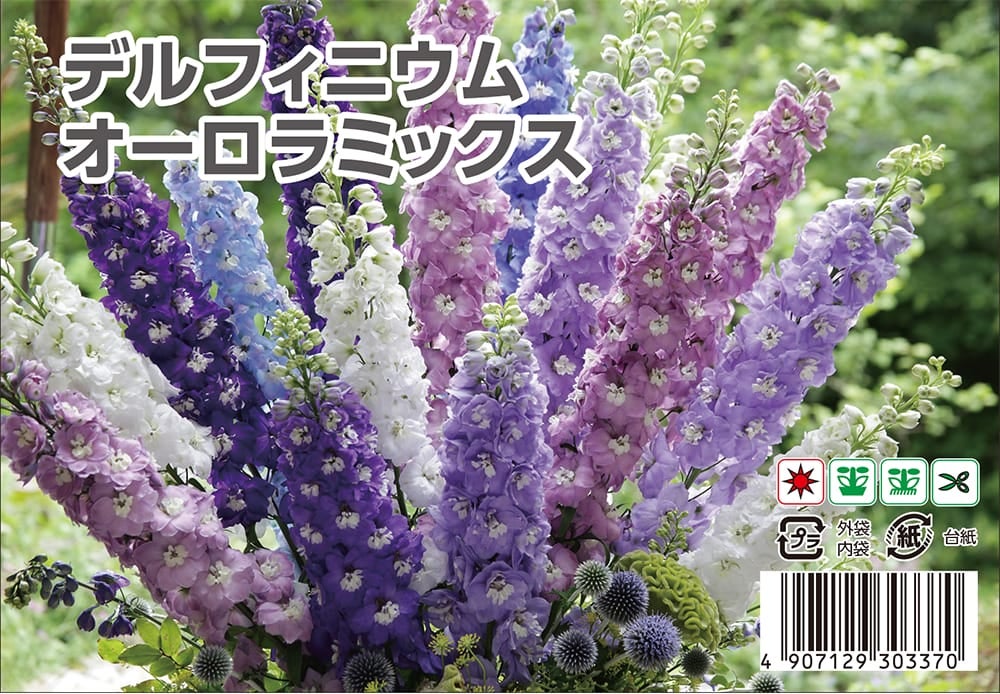 デルフィニウム オーロラミックス 苗 販売 苗木部 By 花ひろばオンライン