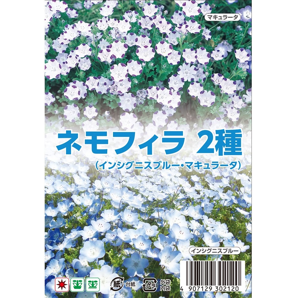ネモフィラ 2種 苗 販売 苗木部 By 花ひろばオンライン